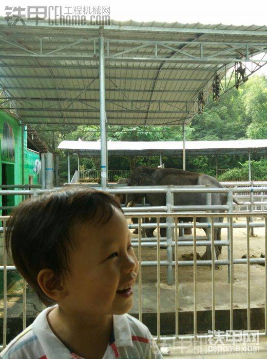 動物園的大象館
