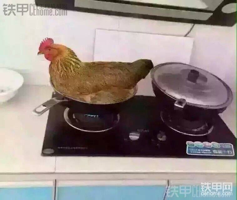 午飯時間到了，兄弟們將就一下吧。
