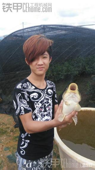 下大雨去摸鱼了.