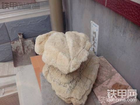 奖品到了，还有小甲友