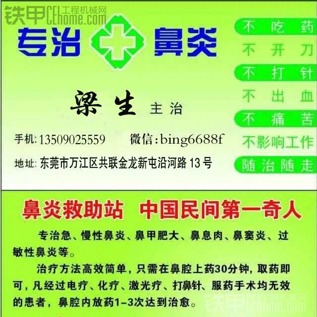 我來曬曬，今天挖到的刺猬