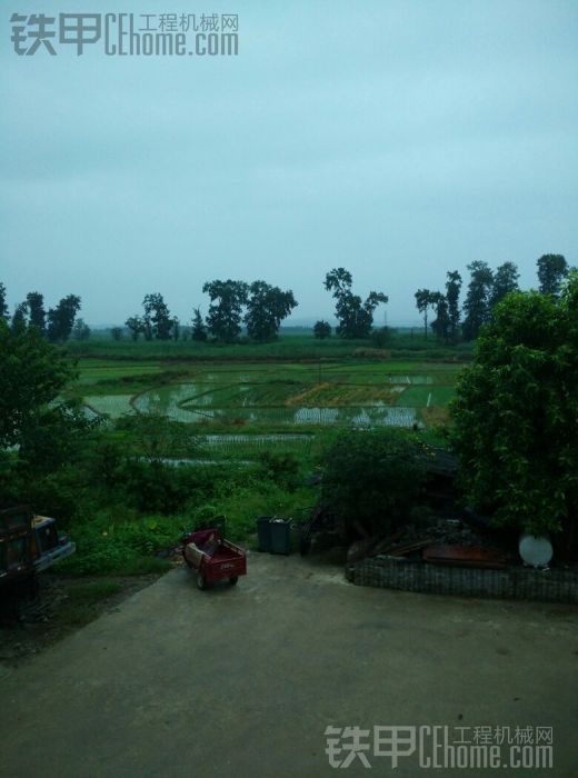 昨天晚上的大雨澆滅了我今天的希望