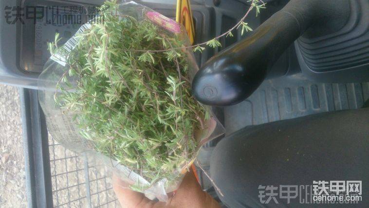 猜猜是什么。。
