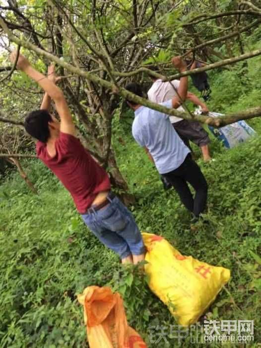 通過挖掘機上我結(jié)識到不少的朋友，同行無處不在，