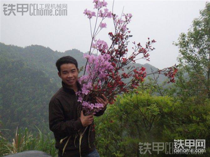 當(dāng)年我也浪漫，摘了一些花送老婆了。是剛開(kāi)始拍拖時(shí)。
