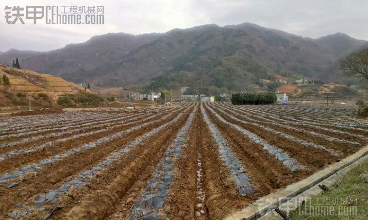 溝溝溝，哦雷哦雷