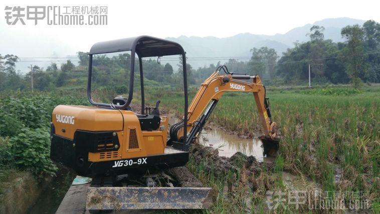 因?yàn)橐活w菜，農(nóng)民叫來了一群警察