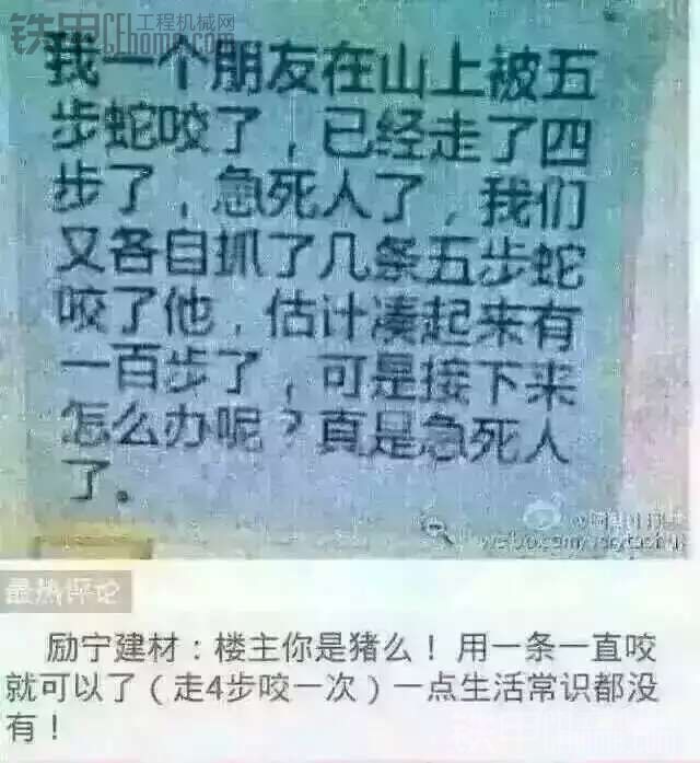 你是豬嗎？