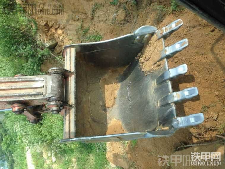 修路挖的银环蛇，听说这蛇狠毒