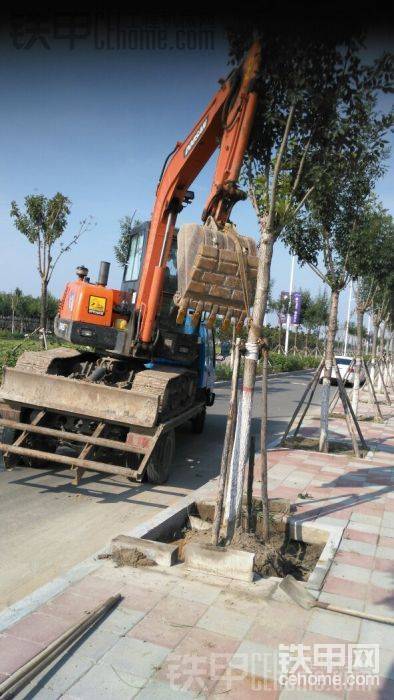 在路上没敢下车
