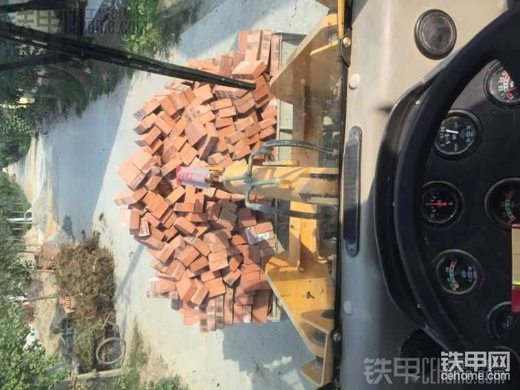 這么多沒感覺到翹屁屁
