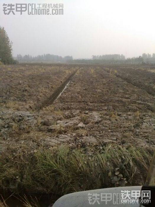 吶我們這是在生態(tài)園里，我主要挖這小溝，大挖挖塘
