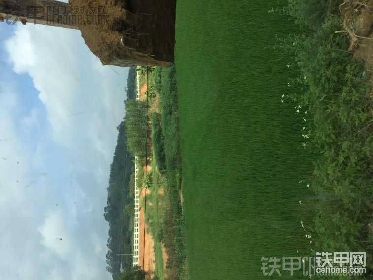 風(fēng)景不錯吧