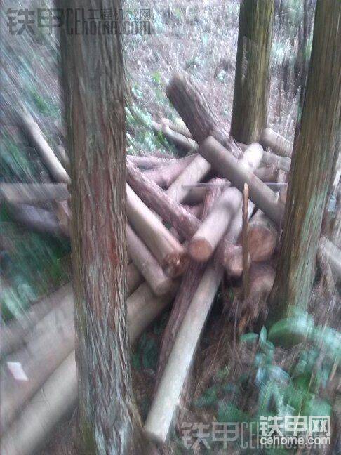 都是錢拉
