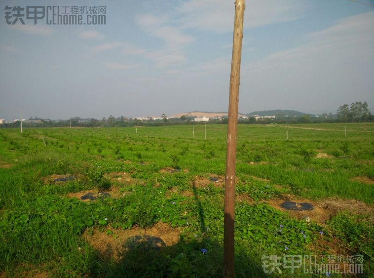 1500畝果園挖溝5塊錢一米不太掙錢