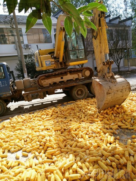 今天找到一来钱路