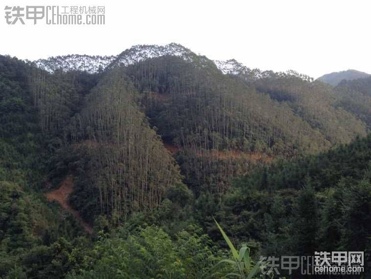 干完这个桉树潞，摩托车被偷了，