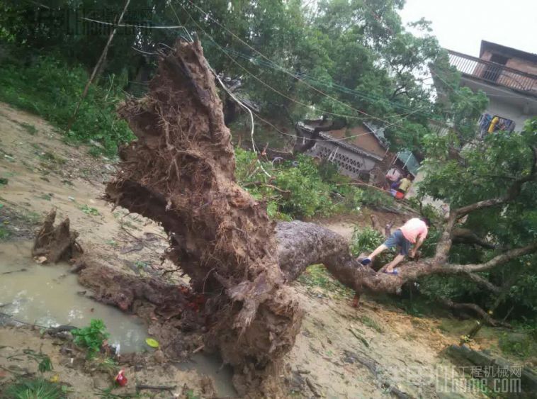 雨還在下