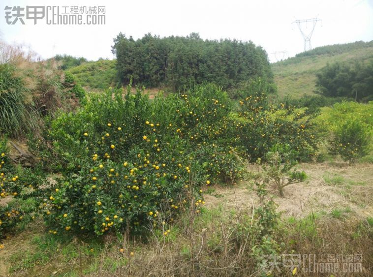 騷藍(lán)這圖到底還是發(fā)吧要不甲友沒什么看