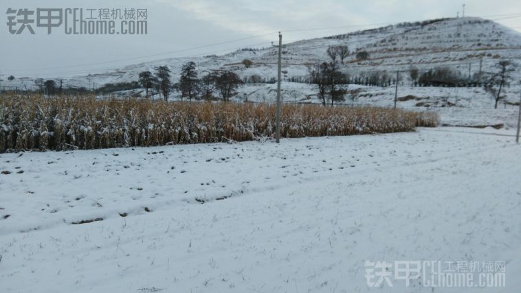 下雪了下雪了