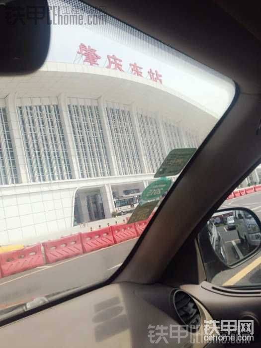 廣東肇慶鼎湖區(qū)求偶遇