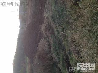 請教下師傅們。農(nóng)田改造都是怎么做？我