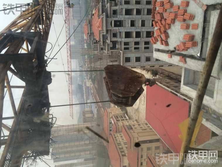 小鳥都在小車籃里安家了