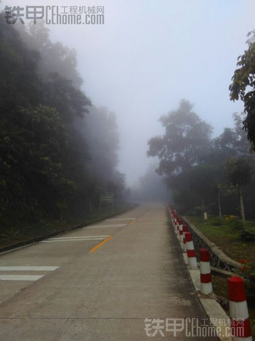 天气太热挖机摘椰子咯