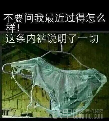 挖机真的好赚呀！！！