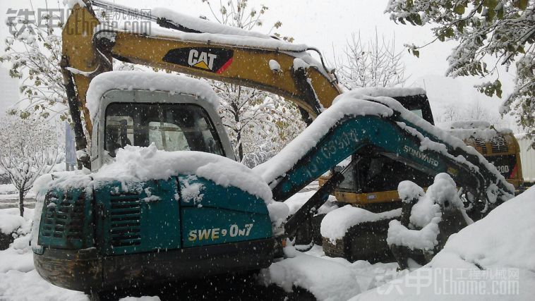 這雪下的！死的心都有