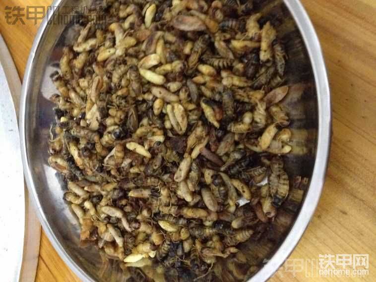 看見有黃蜂，晚上果斷來(lái)燒了拿回家吃。