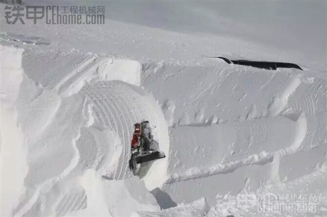 这雪下的。车都埋了。