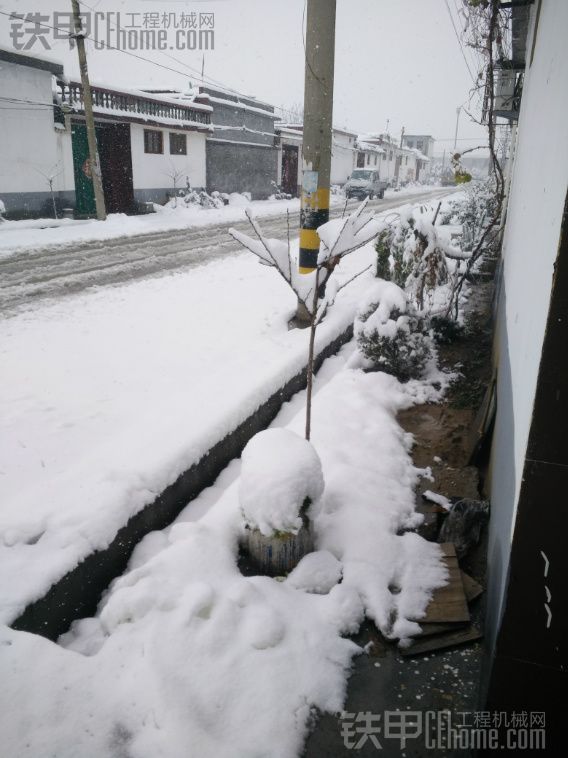 大雪纷飞，洁白的世界里还有我小小的身影在扑腾。