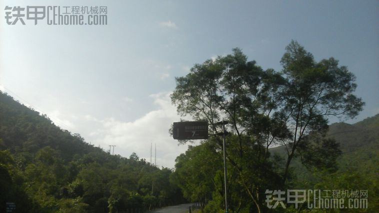 十万大山森林公园原始雨林