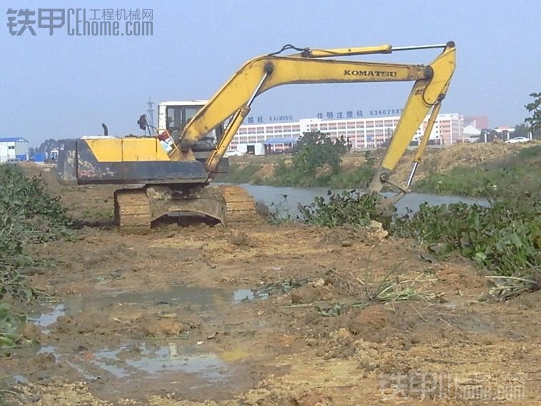 200-5 撈水仙花