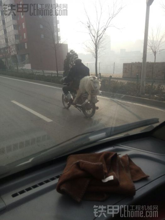 待宰的羔羊 坐一回飛車