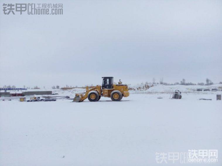 下雪了！做一位安靜的美男子！