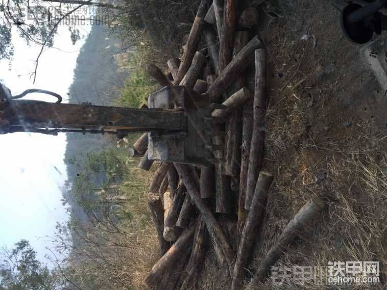 每天都是和這些木頭疙瘩一起玩耍