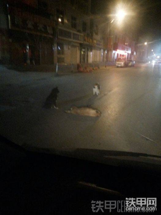 迟迟不肯离开
