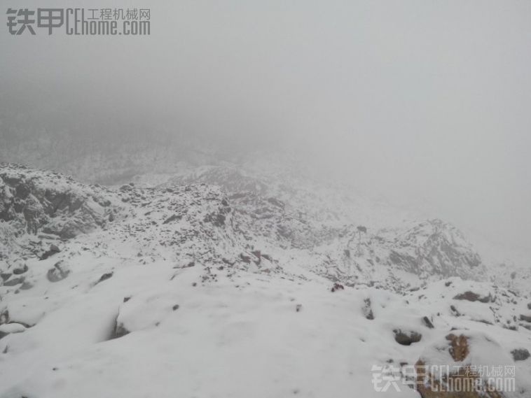 下雪了幸亏昨天给包住了