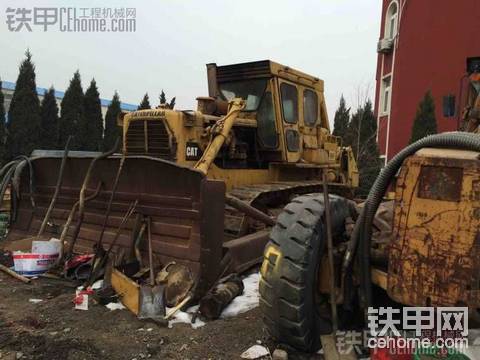 来个大家伙