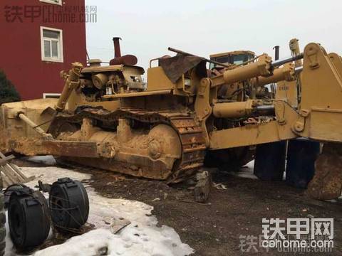 来个大家伙