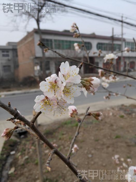 洛陽中石油