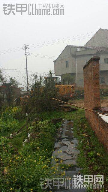 被樹遮住了
