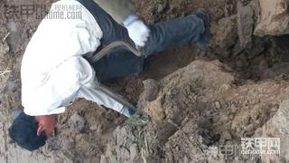 今年挖到的第一条