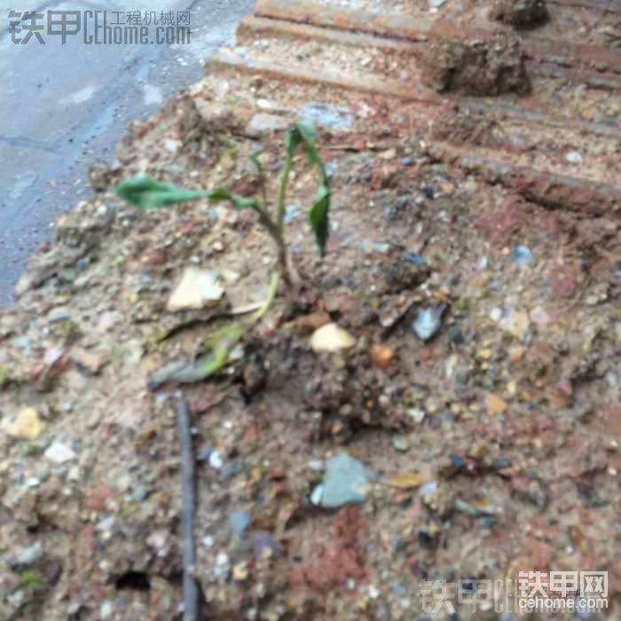 知道多久嘛？