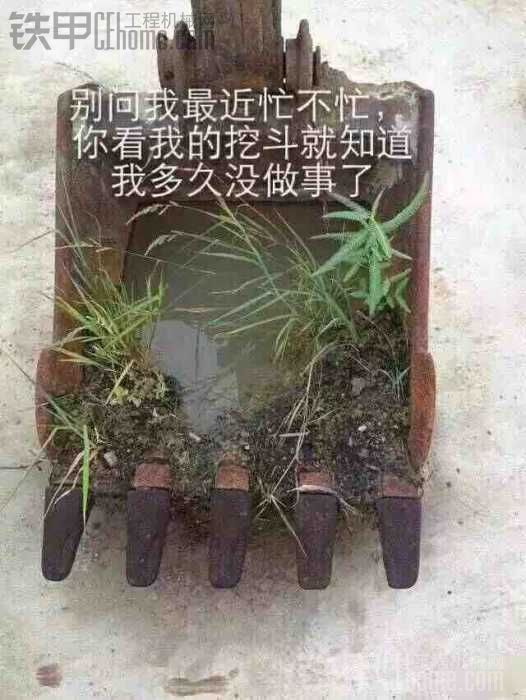 闲置