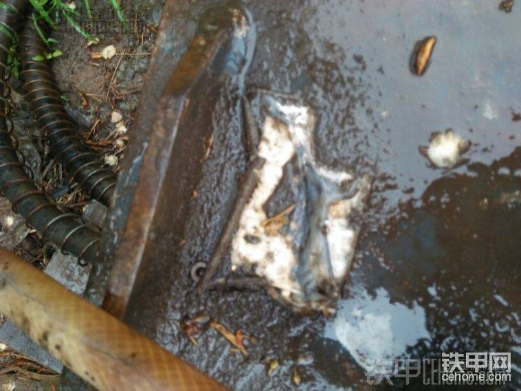 紙標還在呢
