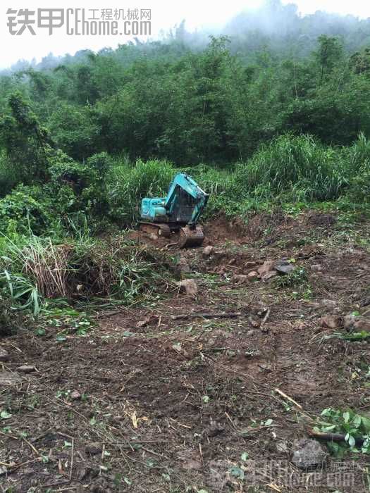 “大王”叫我來巡山咯?。?！