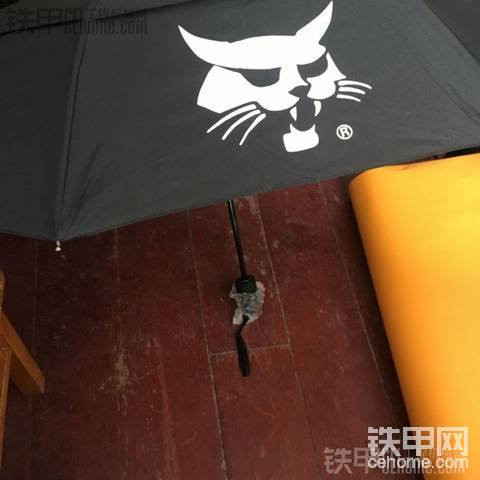 山貓雨傘——做二手山貓滑移機(jī)這么多年，第一次拿紀(jì)念品，曬一下。